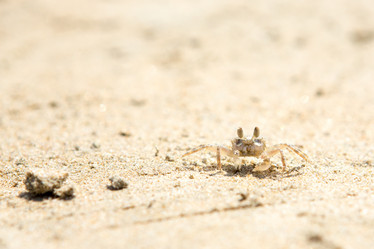 Similar image 21965214