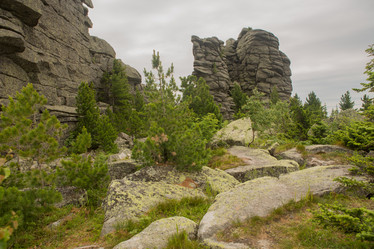 Similar image 21954618