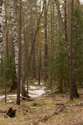 Similar image 21953017