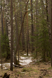 Similar image 21953019