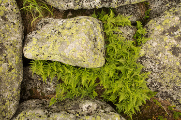 Similar image 21953188