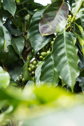 Similar image 21954118