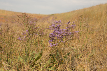 Similar image 21952736