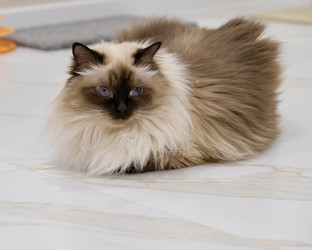 Similar image 21952320