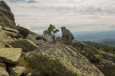 Similar image 21965227