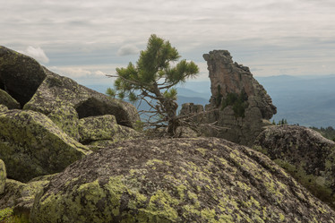 Similar image 21965231