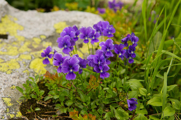 Similar image 21965235