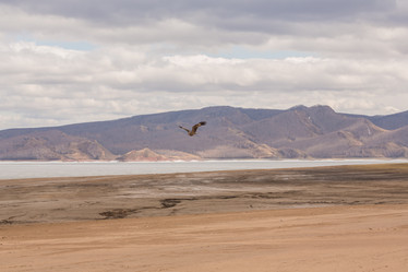 Similar image 21965236