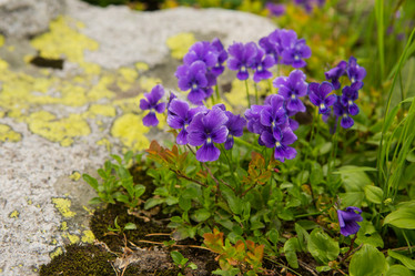 Similar image 21965237