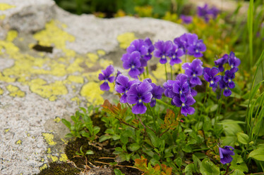 Similar image 21965239