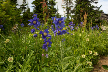 Similar image 21965439