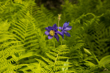 Similar image 21965441