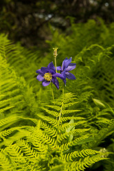 Similar image 21965444