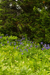 Similar image 21965448