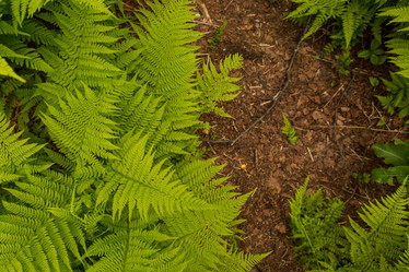 Similar image 21954122