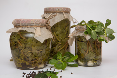 Similar image 21954370