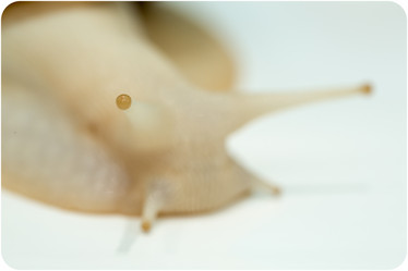 Similar image 21954389