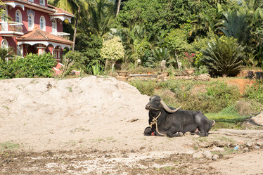 Similar image 21954392