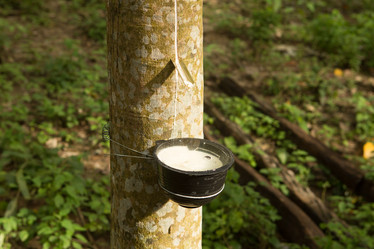 Similar image 21954393