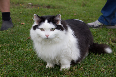 Similar image 21965454