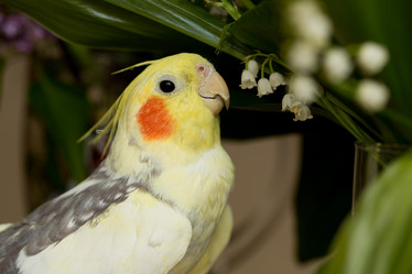 Similar image 21954125