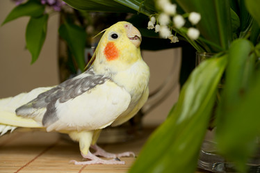 Similar image 21954126