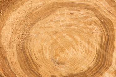 Similar image 21954398