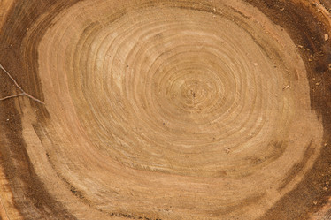 Similar image 21954399