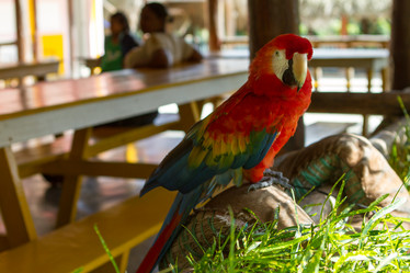 Similar image 21954844