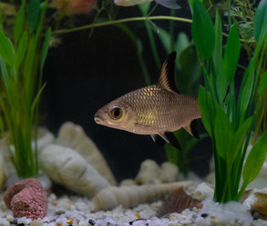 Similar image 21969972