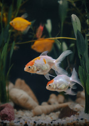 Similar image 21969973