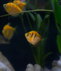 Similar image 21969974