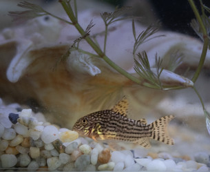 Similar image 21969975