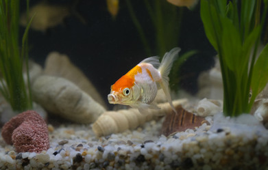 Similar image 21969978