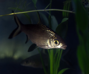 Similar image 21969979