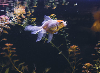 Similar image 21969981