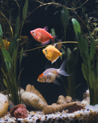 Similar image 21969982