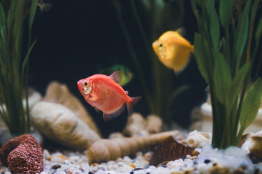 Similar image 21969983