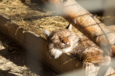 Similar image 21965253