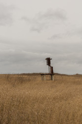 Similar image 21965263