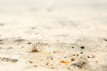 Similar image 21952738