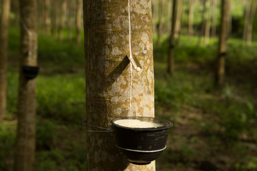 Similar image 21952854