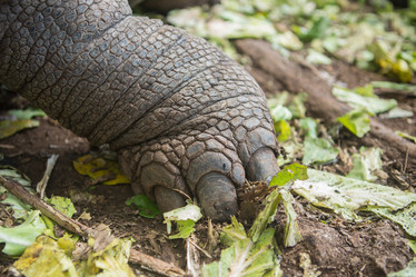 Similar image 21952857