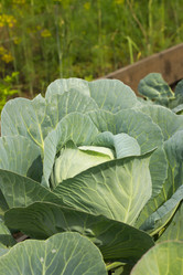 Similar image 21954403