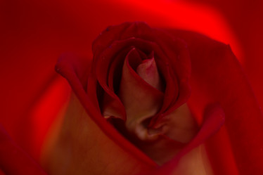 Similar image 21954404