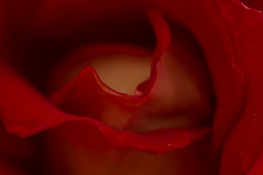 Similar image 21954405