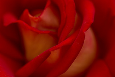 Similar image 21954406