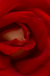 Similar image 21954633