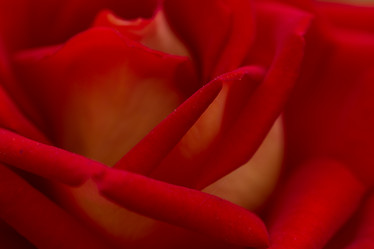 Similar image 21954634