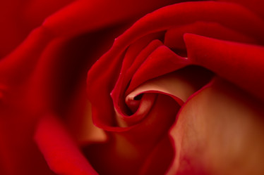 Similar image 21954636